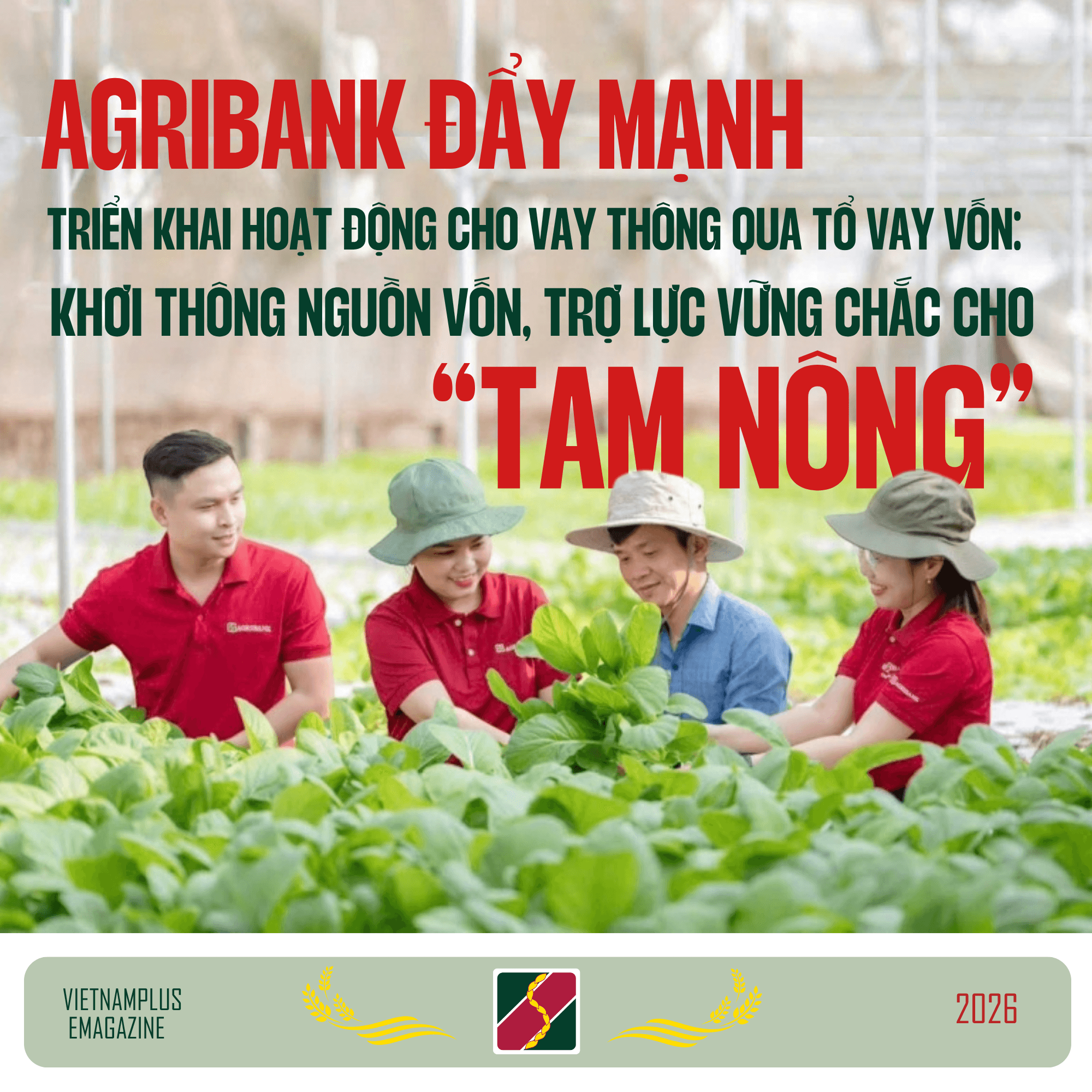 agribank-day-manh-trien-khai-hoat-dong-cho-vay-thong-qua-to-vay-von-1-.png