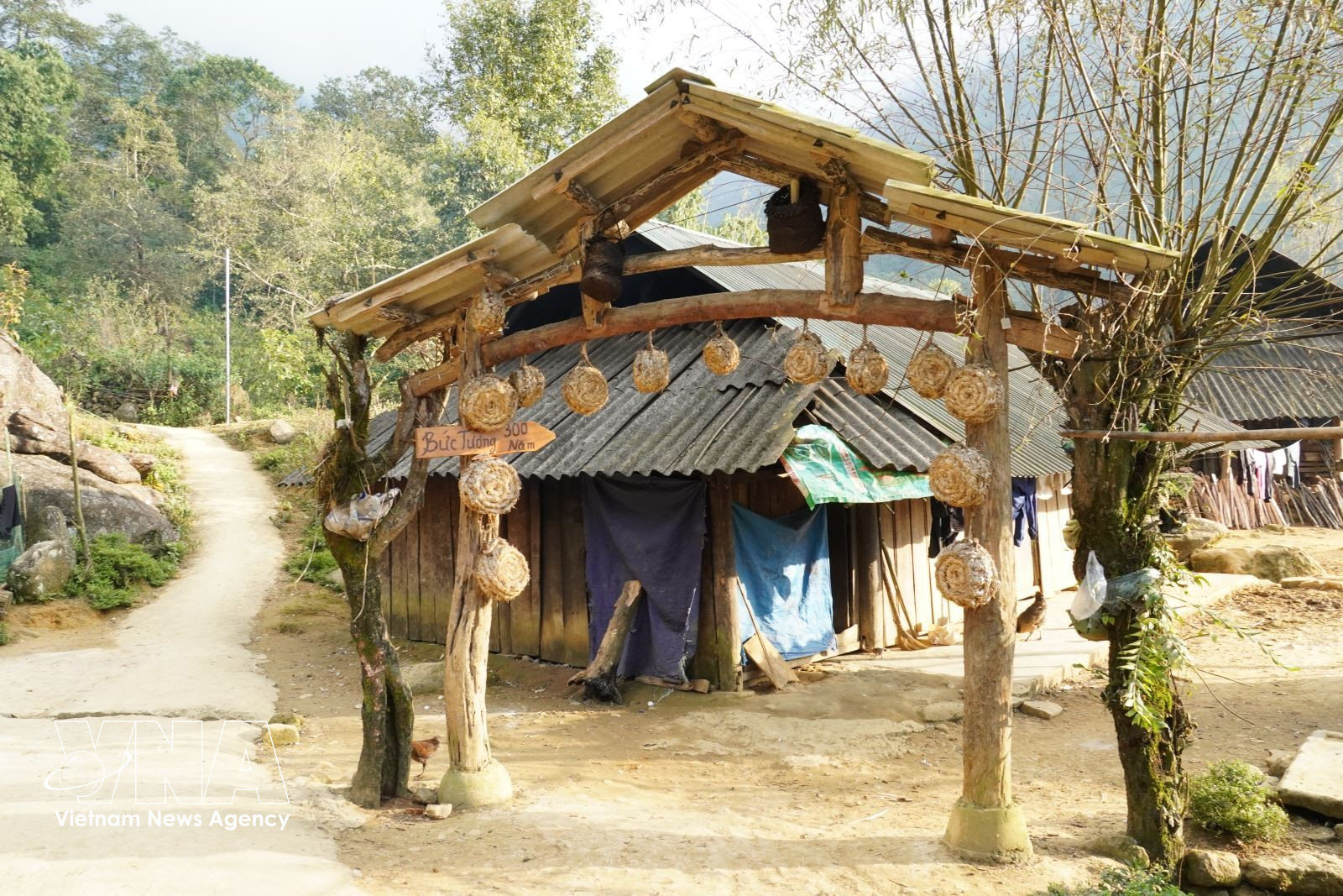 banmong12.jpg