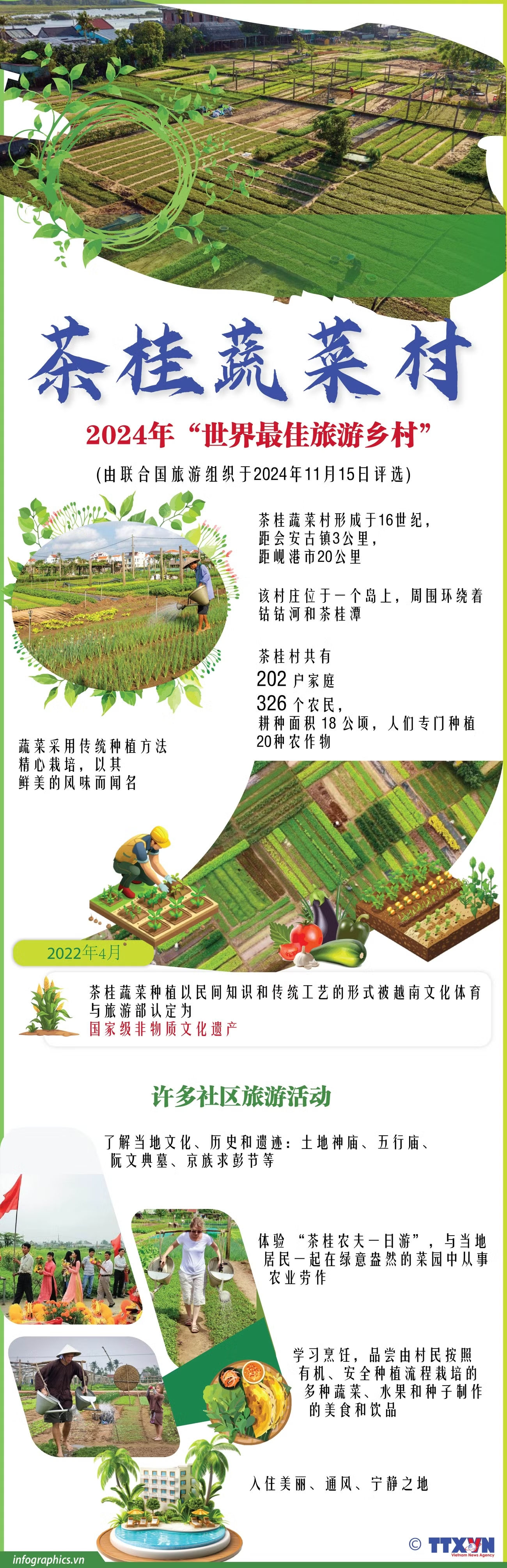 2024-11-16-vn-lang-rau-tra-que-v02-h84-h84-9346.jpg