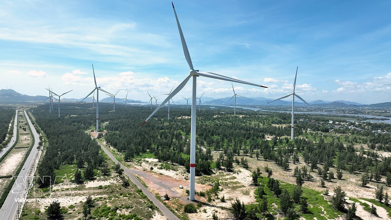 Nhà máy điện gió Phương Mai gồm 11 tổ máy, tổng công suất 26,4 MW, tổng mức đầu tư 1.076 tỷ đồng, trong Khu kinh tế Nhơn Hội, tỉnh Gia Lai. Ảnh:TTXVN