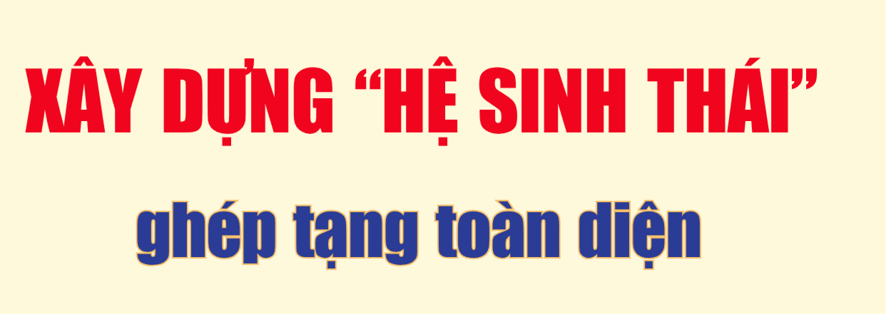 tit-phu-2(1).png