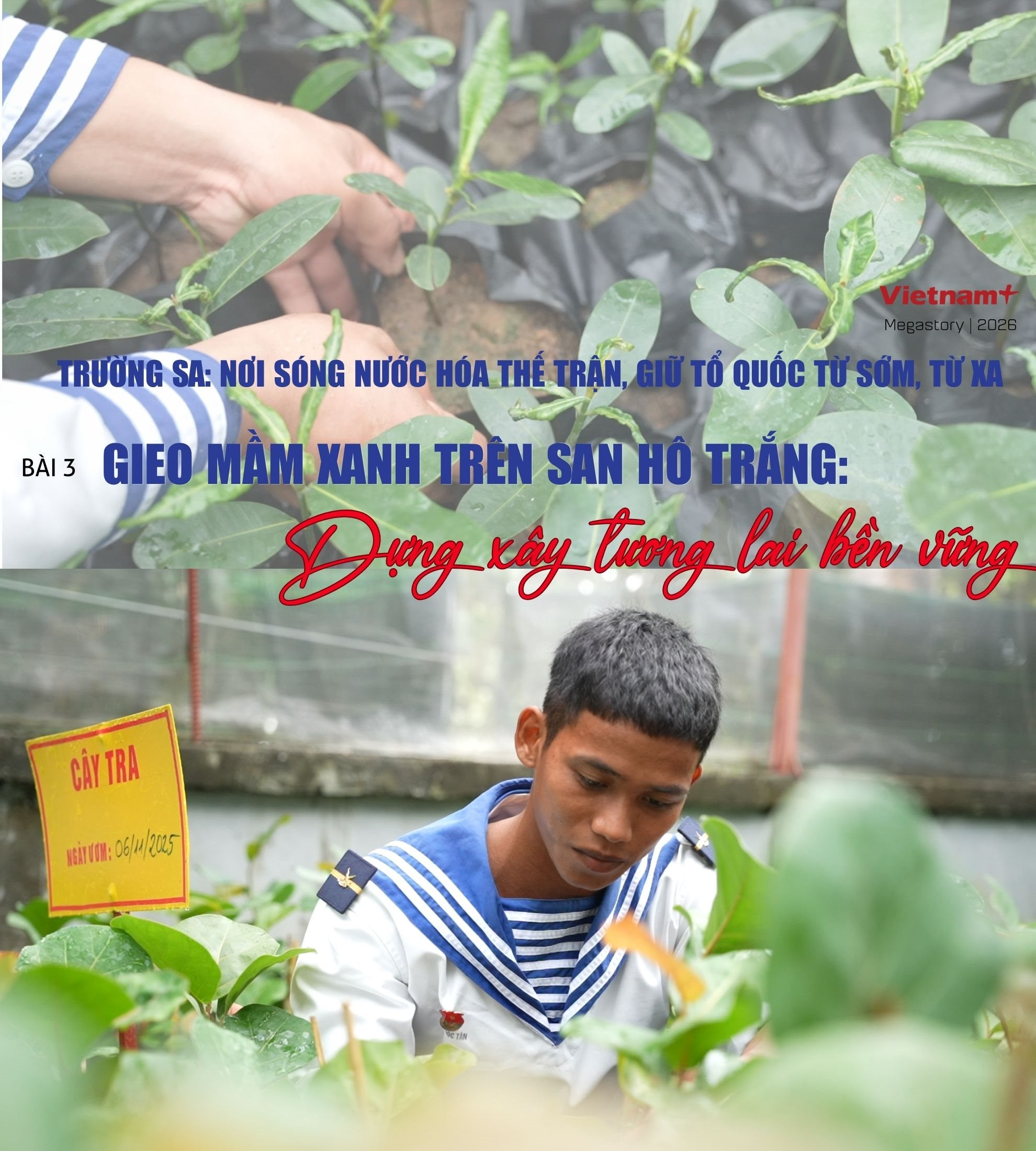 cover-bai-3.jpg