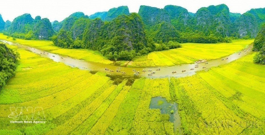 vnanet-potal-10-nam-quan-the-dan marked