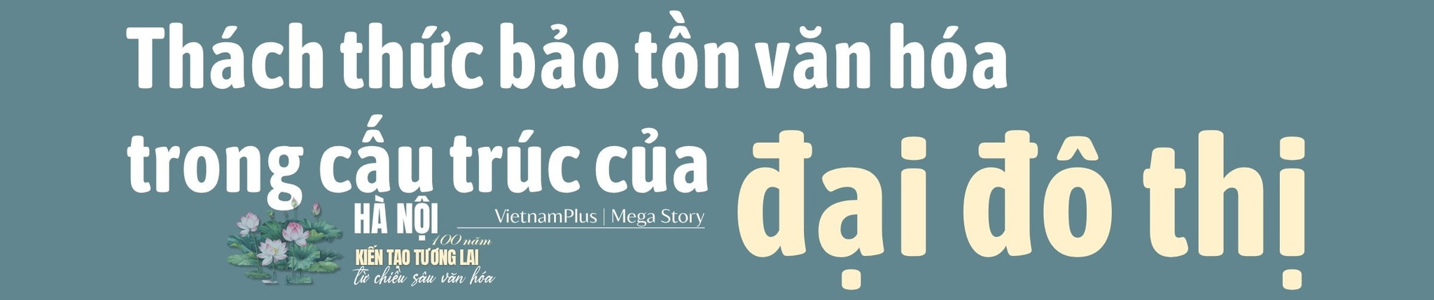 bai_cuoi_tit_1.jpg