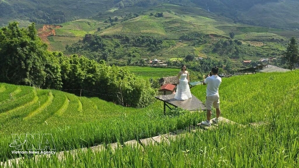 vnanet-potal-lao-cai-mua-lua-ta mark