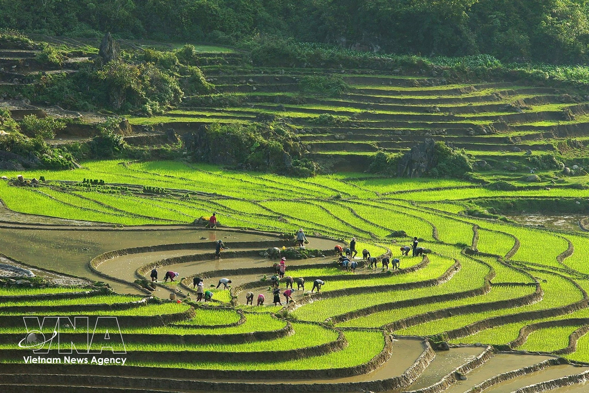 vnanet-potal-ngay-ngat-ruong-bac marked