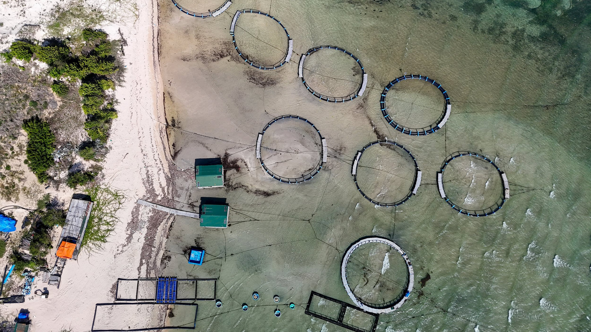 dji_20260708150101_0014_d.jpg