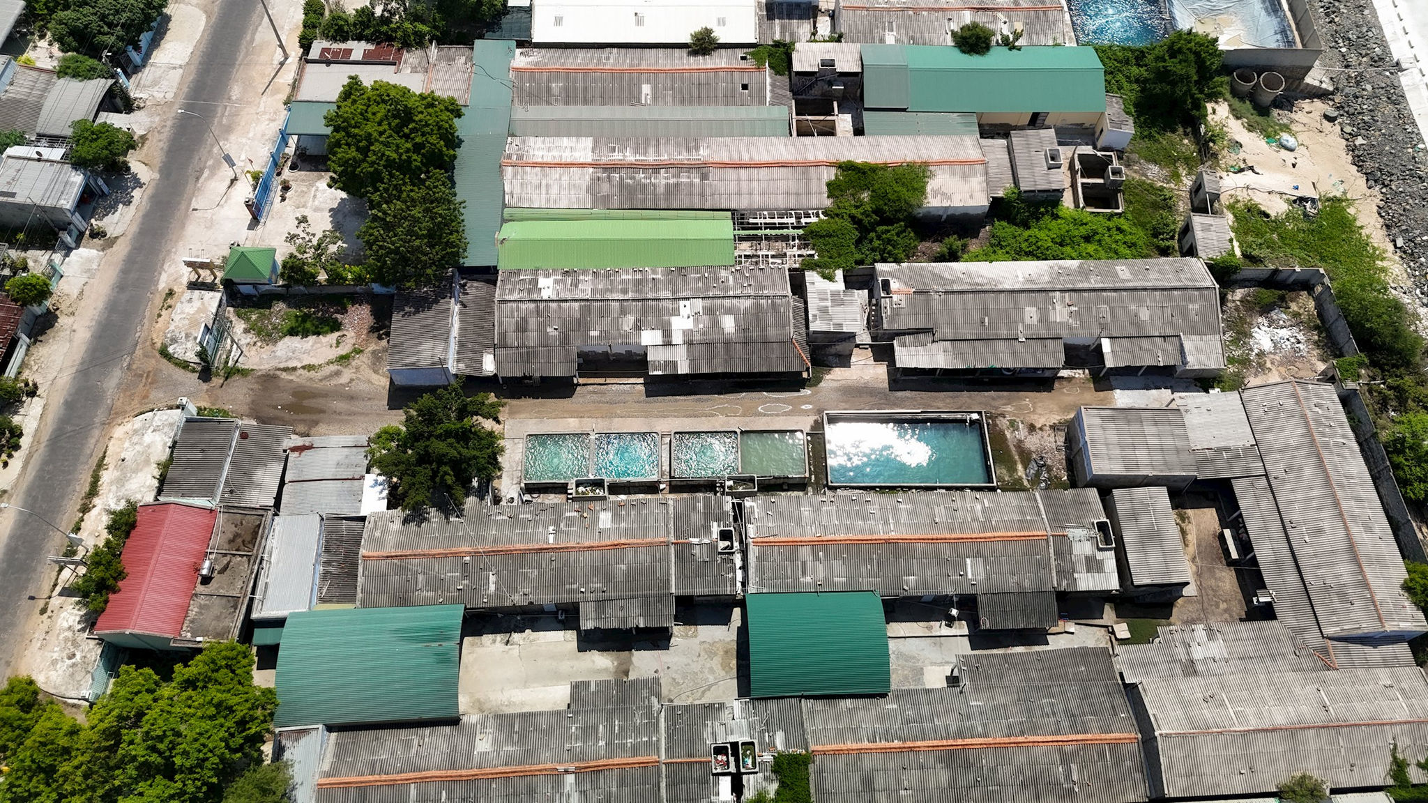 dji_20260710100133_0171_d.jpg
