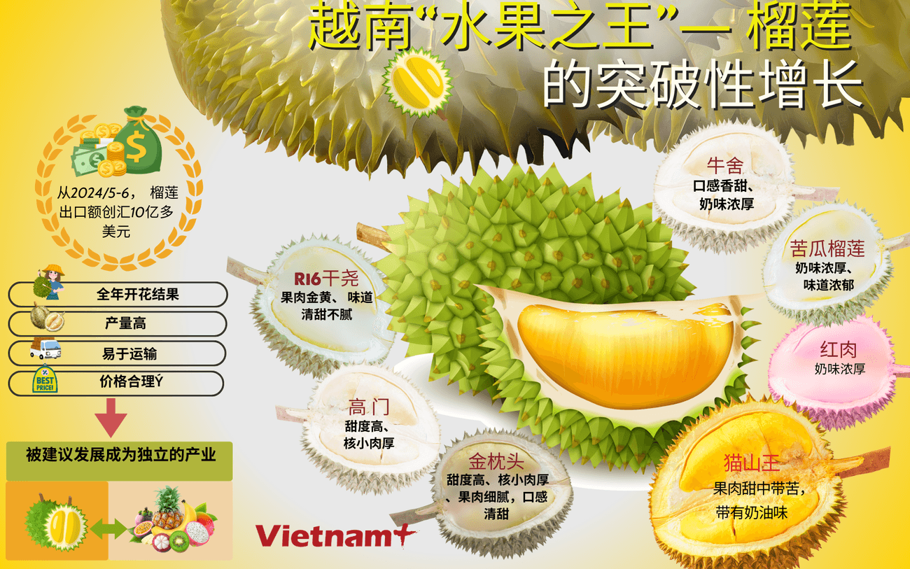 vi-sao-sau-rieng-tro-thanh-vua-qua-xuat-khau-cua-viet-nam-8731.png