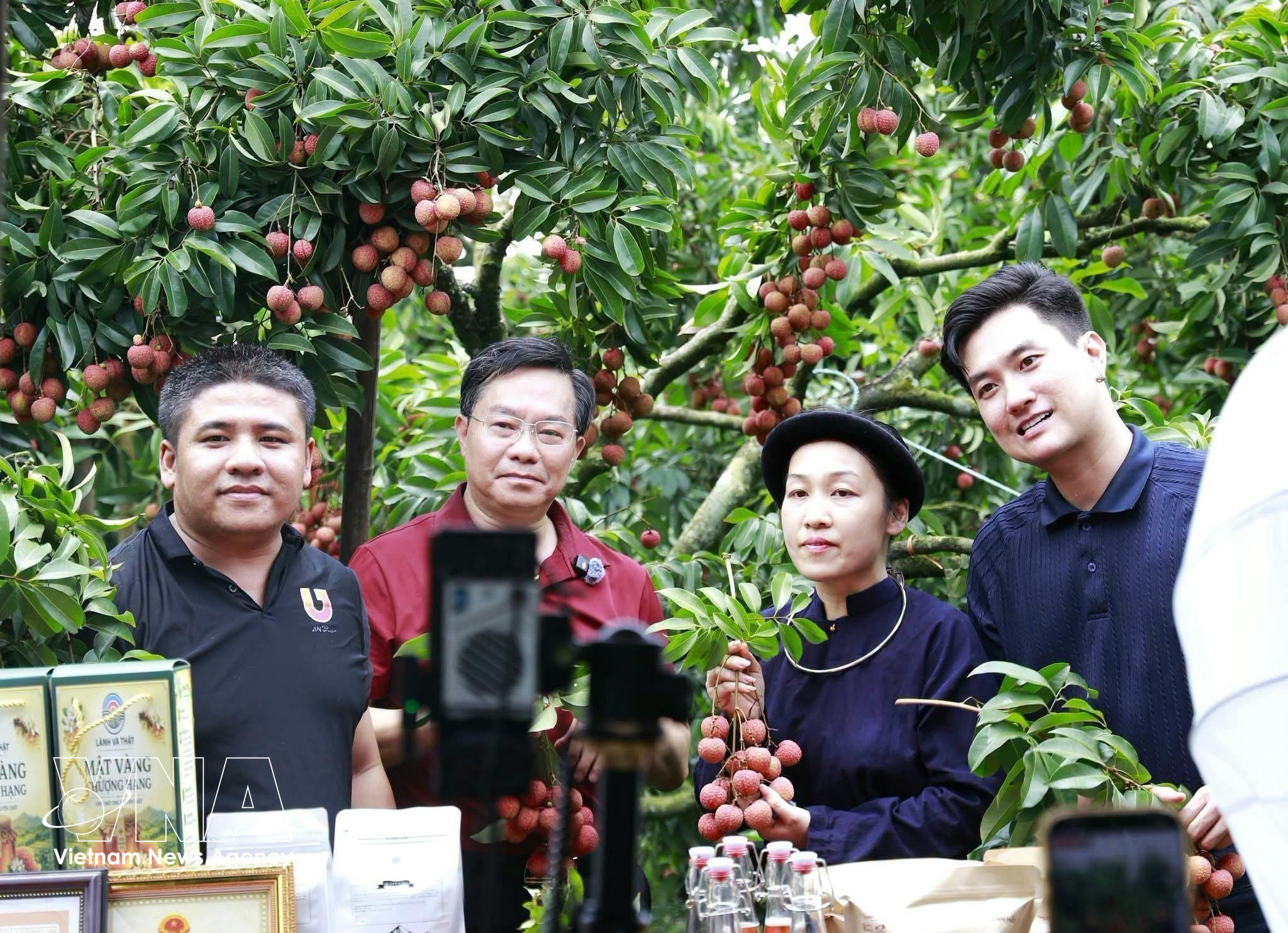 nentang-so-1.jpg