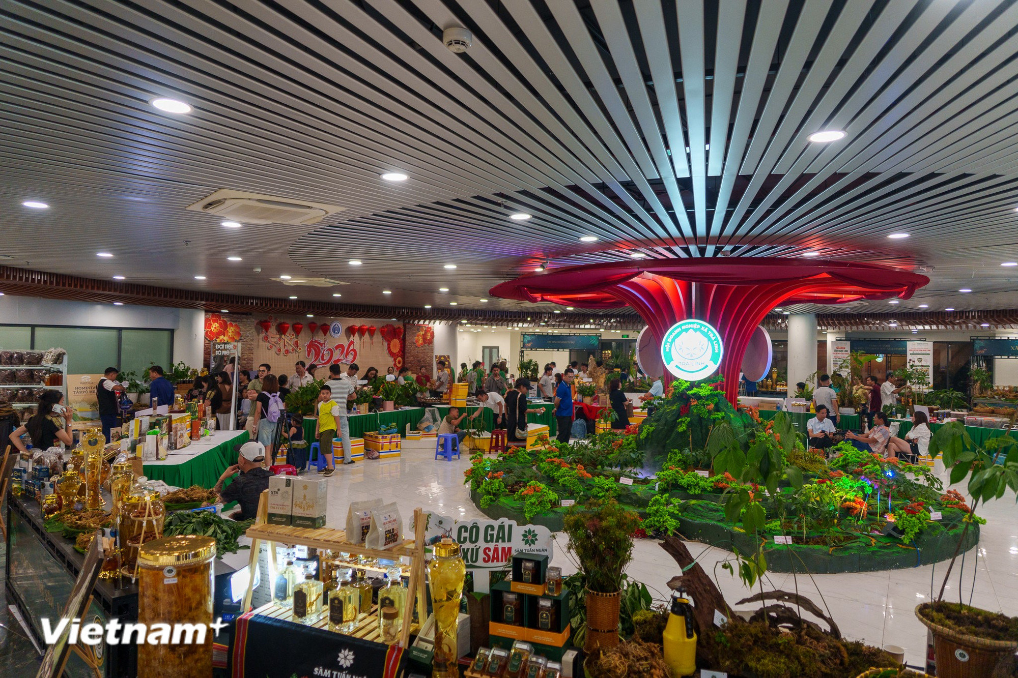20260801-lehoi-samngoclinh-danang-04.jpg