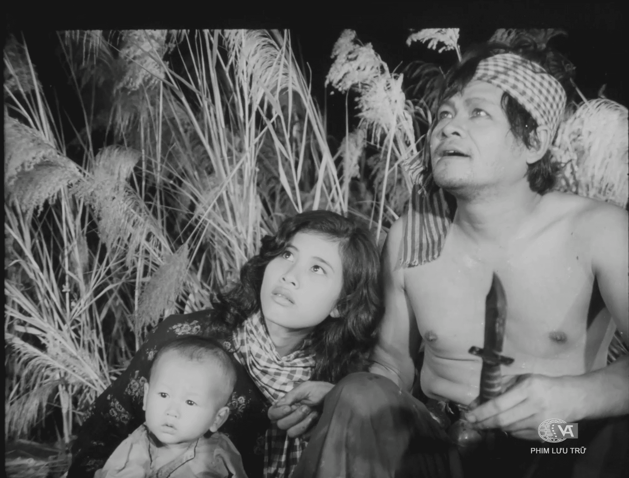 canh dong hoang