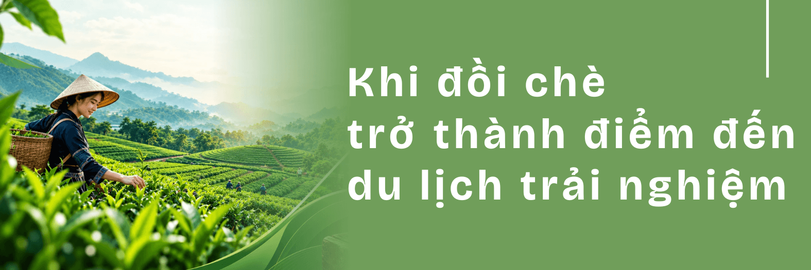 41(1).png