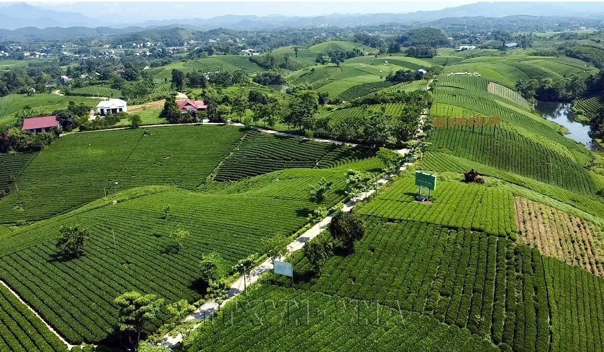 doi-che-cau-da-tai-xa-la-bang-thai-nguyen.-anh-tran-trang-ttxvn-.jpg