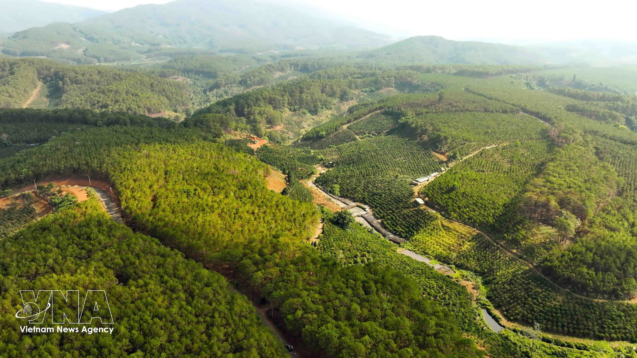 vungkinh-te-tay-nguyen.jpg