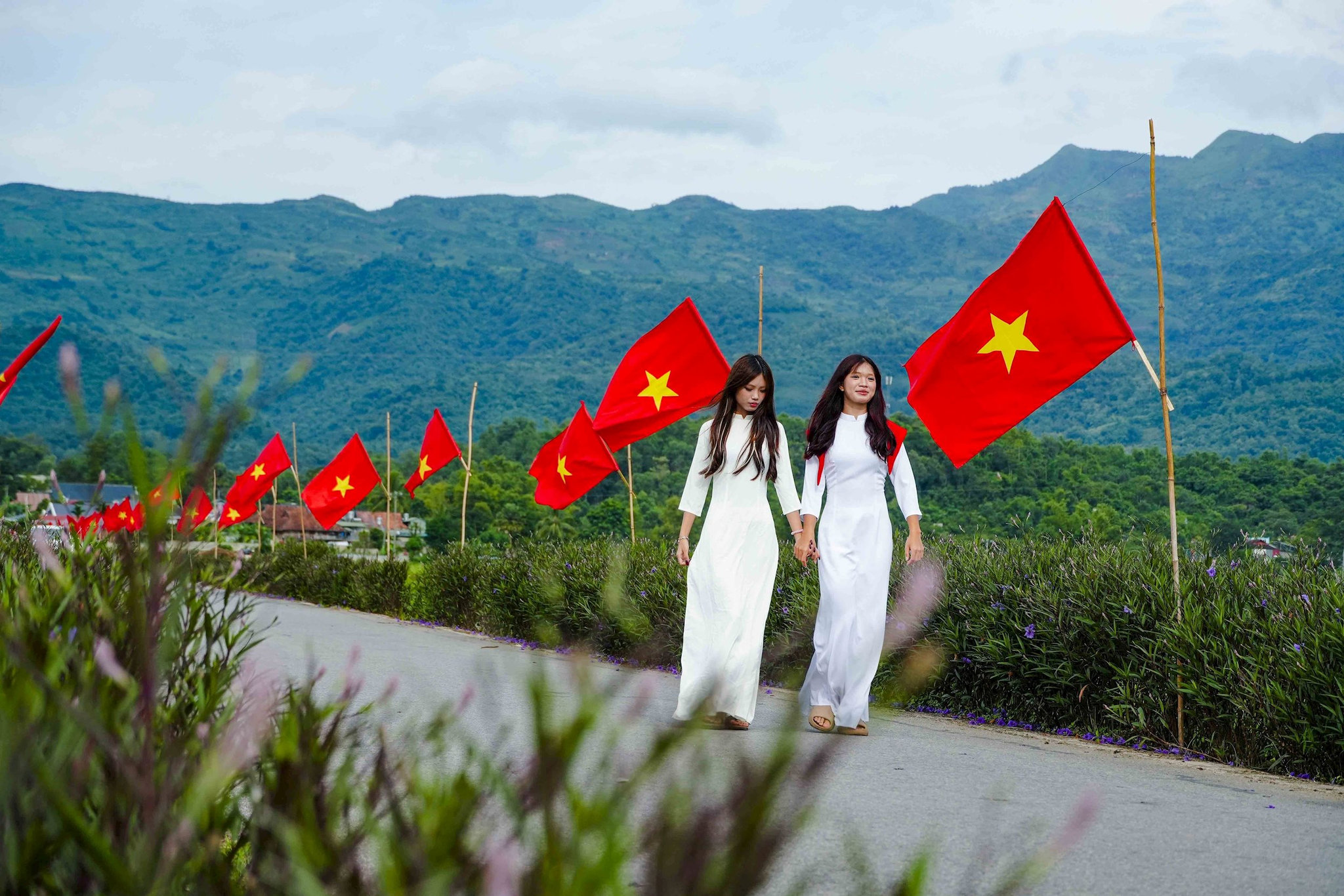 vna_potal_dien_bien_ruc_ro_co_hoa_mung_quoc_khanh_8975509.jpg