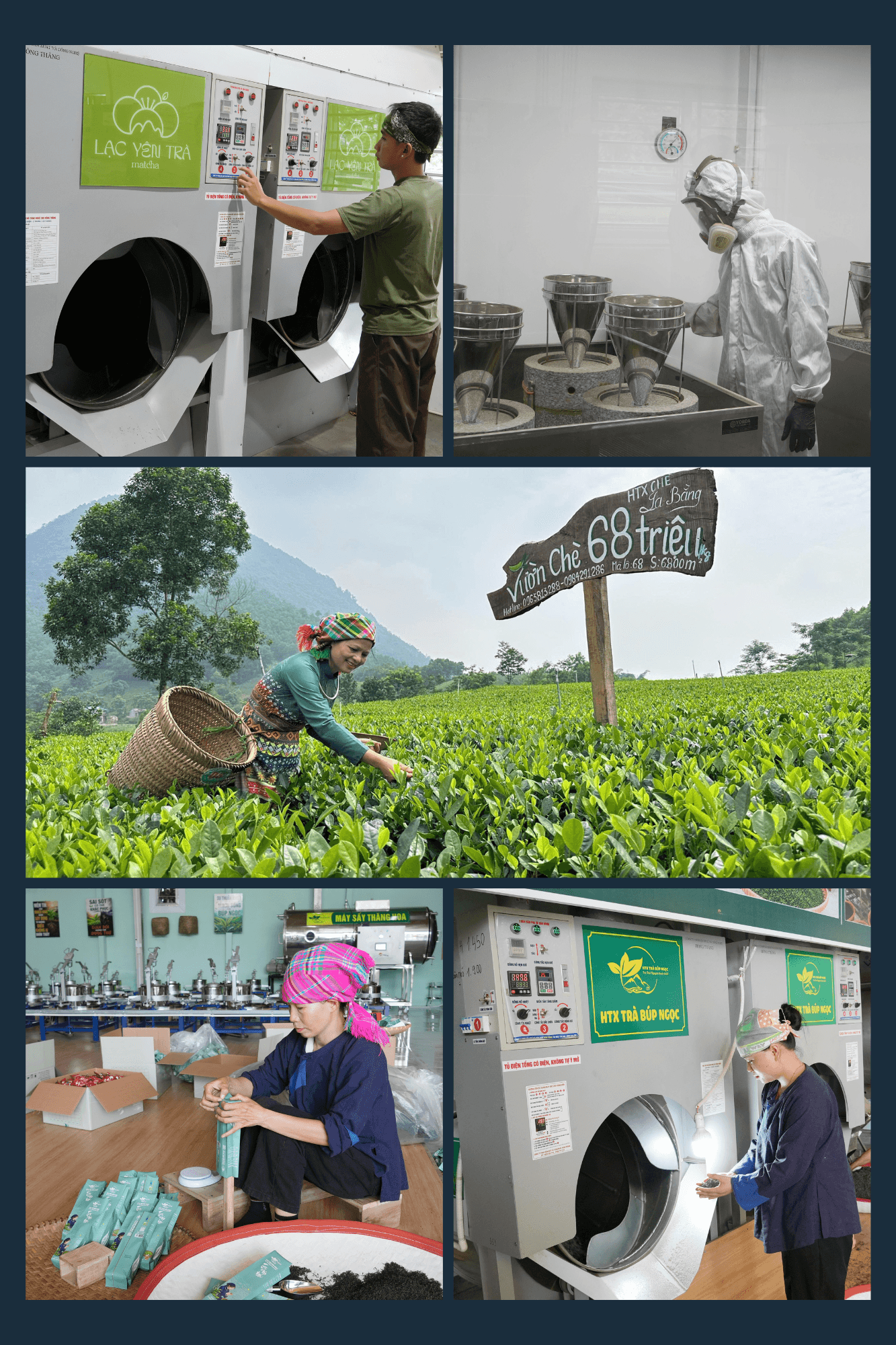 anh-minh-hoa-cuoi.png