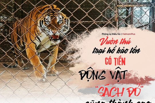 Bài 2: Vườn thú, trại hổ bảo tồn: Có tiền động vật “sách đỏ” cũng thành cao