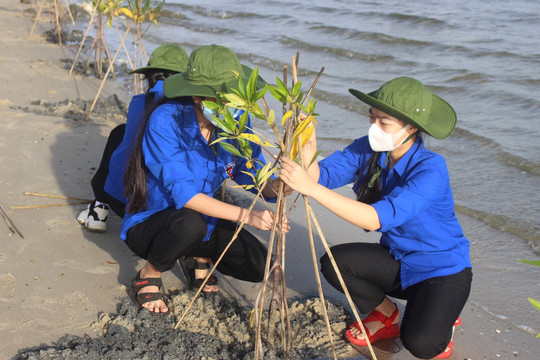 Chống biến đổi khí hậu: Từ cam kết đến hành động của Việt Nam