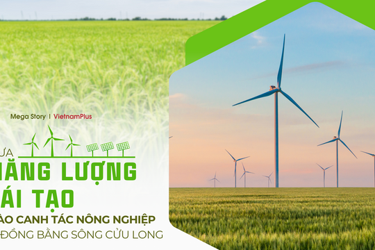 Đưa năng lượng tái tạo vào canh tác nông nghiệp ở Đồng bằng sông Cửu Long