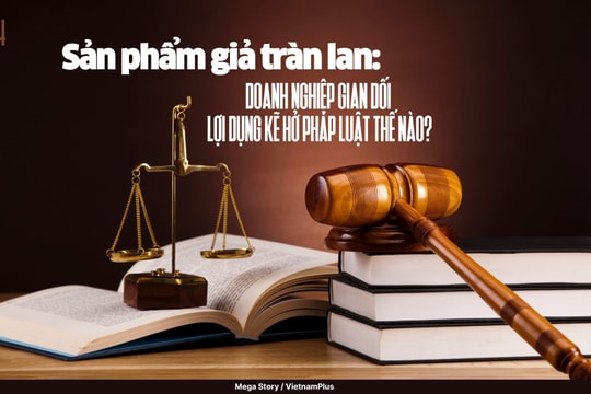 Bài 4: Sản phẩm giả tràn lan: Doanh nghiệp gian dối lợi dụng kẽ hở pháp luật thế nào?