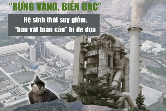 Bài 1: Nỗi đau “rừng vàng, biển bạc”: Hệ sinh thái suy giảm, “báu vật toàn cầu” bị đe dọa