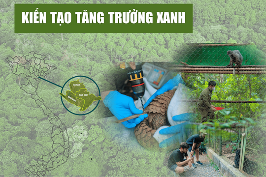 Bài 4. Sáp nhập tỉnh thành: Cơ hội tái thiết không gian bảo tồn, kiến tạo tăng trưởng xanh