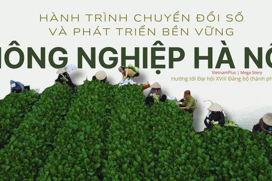 Nông nghiệp Hà Nội - hành trình chuyển đổi số và phát triển bền vững