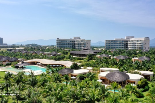 KHANH HOA PROVINCE PIONEERS GREEN, SUSTAINABLE TOURISM