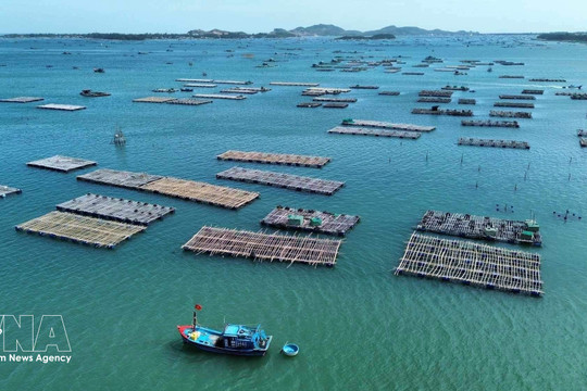 La mariculture, nouveau moteur de l'économie maritime du Vietnam