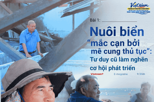 Bài 1. Nuôi biển “mắc cạn bởi mê cung thủ tục”: Tư duy cũ làm nghẽn cơ hội phát triển