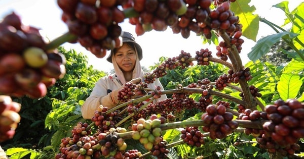 Green transformation: Key for Vietnamese businesses to integrate into global supply chains